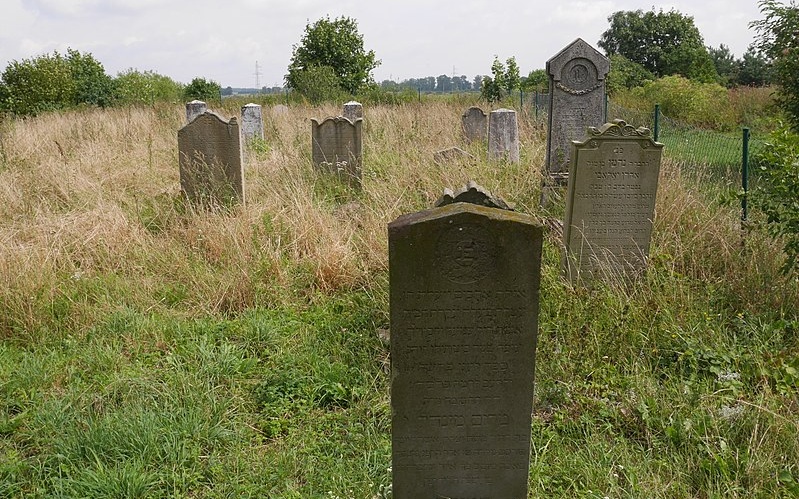 Польские студенты устроили уборку на еврейском кладбище